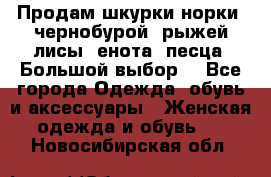 Продам шкурки норки, чернобурой, рыжей лисы, енота, песца. Большой выбор. - Все города Одежда, обувь и аксессуары » Женская одежда и обувь   . Новосибирская обл.